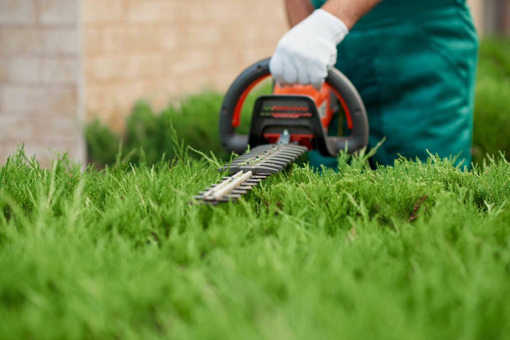CrystalCrest Inc: Trimming service expertly manicuring hedges and shrubs with precision.